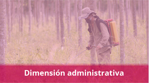Dimensión administrativa