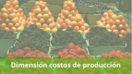 Dimensión costos