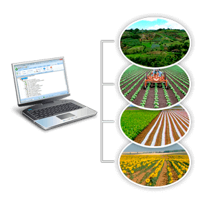 Manejo y seguimiento de múltiples fincas y/o empresas agrícolas.