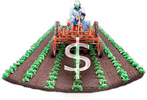 Control total de la producción y ventas.