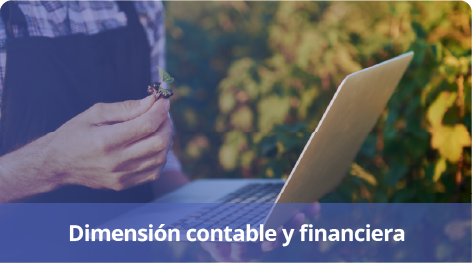  Dimensión contable y financiera