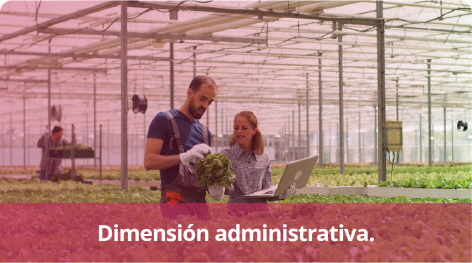  Dimensión administrativa