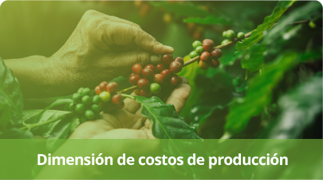 Dimensiones de costos de produccion